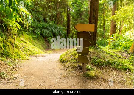 Un panneau en bois usé avec plusieurs planches vierges en forme de flèche pointant dans différentes directions se dresse au bord d'un étroit sentier de terre qui serpente Banque D'Images