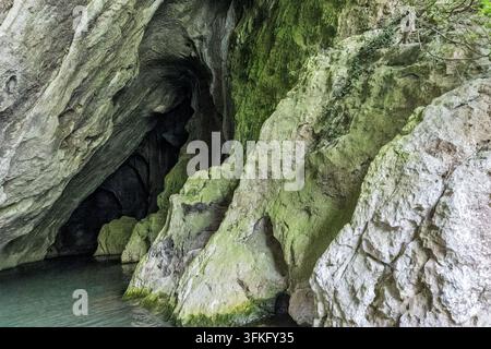 Grande entrée de grotte couverte de mousse au bord de l'eau, Danube, Roumanie Banque D'Images