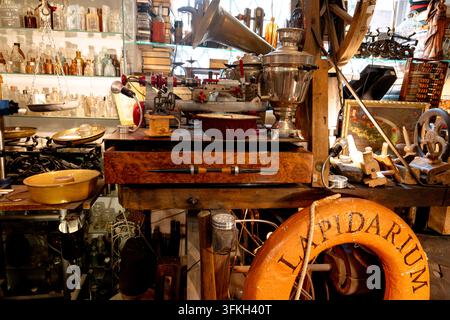 Des appareils photo vintage, des machines à écrire, des pièces de monnaie, des meubles et des objets de collection remplissent une boutique d'antiquités traditionnelle dans la vieille ville de Varsovie. Banque D'Images