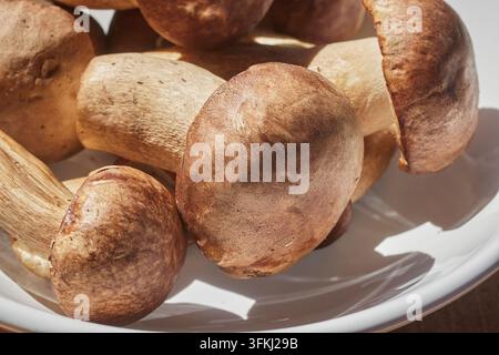 Champignons porcini, frais, entiers et crus, dans un bol blanc. Banque D'Images