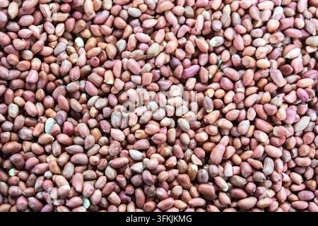 Grossissement d'un plan complet de noyaux de cacahuètes à peau rouge brute Banque D'Images