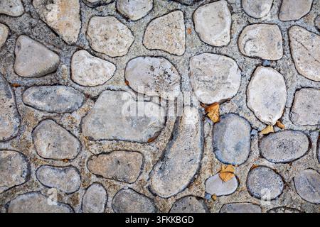 Texture de pavé en pierre vieilli avec feuilles tombées. Gros plan d’un pavé en pierre vieilli avec des pierres arrondies, des joints de mortier et quelques feuilles sèches Banque D'Images