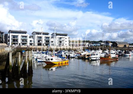 Bateaux de pêche traditionnels dans le port avec des bâtiments riverains à l'arrière-plan, West Bay, Dorset, Royaume-Uni, Europe. Banque D'Images