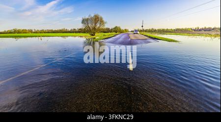 Route inondée reflète le ciel et un arbre lointain. L'eau clapote contre l'asphalte, créant de douces ondulations. Un arbre solitaire se dresse, silhouette contre un bleu clair. Oiseaux fl Banque D'Images