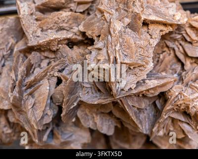 Photographie macro d'un amas cristallin naturel de rose du désert formé de sable et de gypse à Souq Waqif Doha, Qatar. Banque D'Images