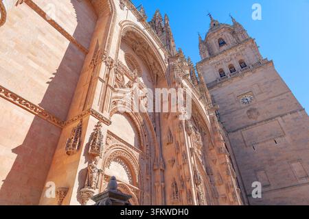 Cathédrale, Salamanque, Castille et Leon, Espagne Banque D'Images