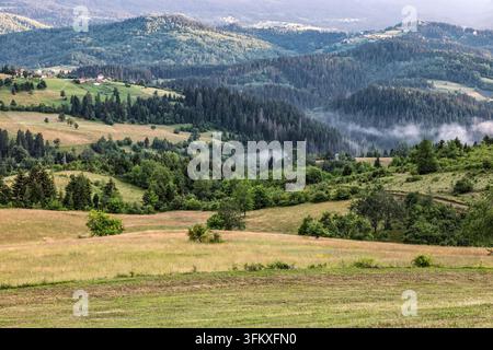 Une vue panoramique de collines ondulantes et de paysages montagneux avec forêts et prairies sous un ciel doux et brumeux, Vilovi, Serbie Banque D'Images