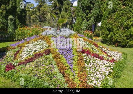 Parterre fleuri aux motifs colorés avec des fleurs violettes, des fleurs blanches et des feuillages ornementaux autour d'une petite palme Banque D'Images