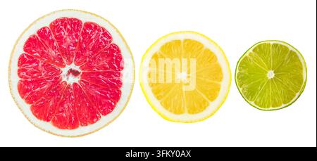 Tranches isolées de pamplemousse, citron et lime alignées sur fond blanc Banque D'Images