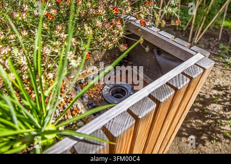 Une vue en hauteur montrant la structure intérieure d'une jardinière en bois avec un trou de drainage central entouré d'un feuillage luxuriant vert Banque D'Images