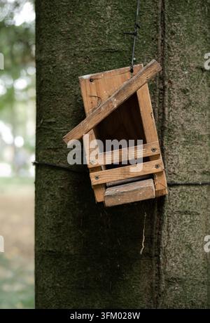 Mangeoire en bois rustique attachée à un tronc d'arbre dans un cadre forestier naturel avec un fond de forêt vert doux Banque D'Images