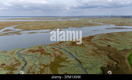 Réserve naturelle de Saeftinghe montrant une marais maritime et la rivière Schelde avec des structures industrielles et des éoliennes en arrière-plan Banque D'Images