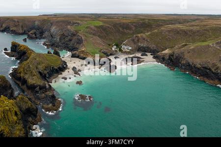 Vue panoramique aérienne de Kynance Cove sur la péninsule de Lizard dans les Cornouailles, Royaume-Uni, avec une belle plage de sable entourée de falaises et de grottes avec Banque D'Images