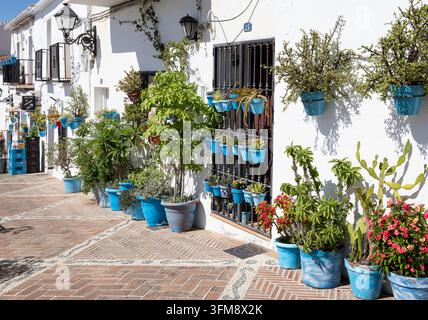 Série de pots en céramique bleus avec des fleurs suspendus à des murs et des portails à Mijas Pueblo, Andalousie, Espagne le 10 septembre 2026 Banque D'Images