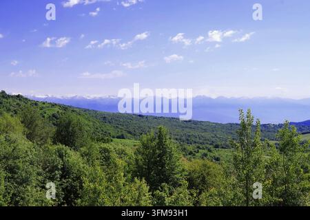 Paysage d'été pittoresque présentant des collines verdoyantes ondulantes au premier plan et les sommets enneigés du Caucase Banque D'Images