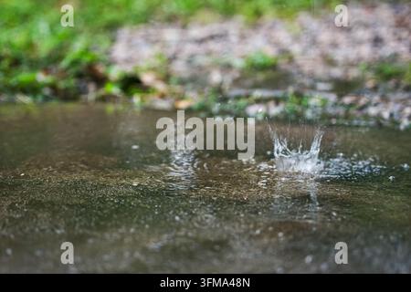 Goutte d'eau éclaboussant une flaque peu profonde sur le sol d'un jardin tropical en Thaïlande, gros plan avec des ondulations et fond flou. Banque D'Images