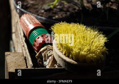 Brosse à récurer en bois et buse de tuyau d'arrosage sur du bois rustique avec un fond sombre et atmosphérique Banque D'Images