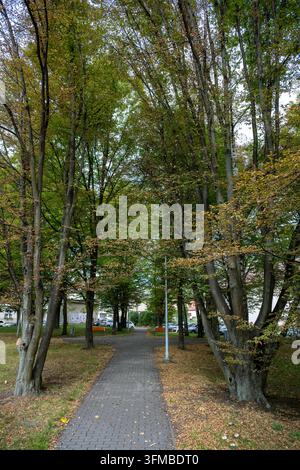 Sentier piétonnier bordé d'arbres à travers un parc urbain au début de l'automne à Havlíčkův Brod, République tchèque, le 27 septembre 2026. Banque D'Images