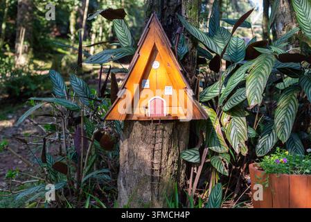 Maison à oiseaux triangulaire sur une souche d'arbre Banque D'Images