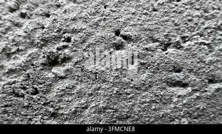 Béton gris rugueux et texture de pierre altérée avec des creux poreux, un relief irrégulier et des tons monochromes, idéal pour la construction, l'architecture et Banque D'Images