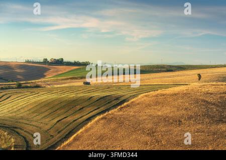 Vue panoramique sur les collines ondulantes et les champs de blé dans la campagne de Santa Luce. Province de Pise, Toscane, Italie Banque D'Images