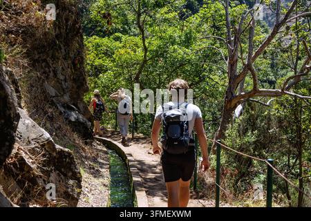 Levada do Moinho près de Ponta do sol, randonneur, île portugaise de Madère, Portugal Banque D'Images