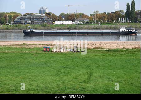 Le faible niveau d'eau du Rhin a exposé une grande banc de sable, des pierres et du sable sur le rivage, près du pont Theodor Heuss, un navire de marchandises navigue dans le chenal de navigation, au premier plan, des débris de bois flotté, des pneus de voiture et des débris ont été découverts par le Banque D'Images