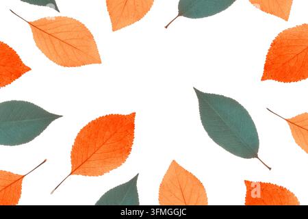 Cadre de feuilles d'automne dans des couleurs pastel abstraites. Disposition créative. Flat lay. - Photomontage Banque D'Images