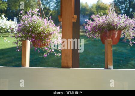 Fleurs violettes douces pendent dans des pots en terre cuite. Des supports en bois les maintiennent solidement. La lumière du soleil brille sur la pelouse verte en arrière-plan. Scène de jardin ensoleillée avec tran Banque D'Images
