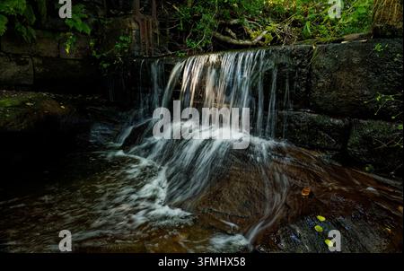 Une cascade d'eau rafraîchissante coule sur un petit barrage de pierre sur un ruisseau dans une combe boisée estivale, Dearden Brook, Edenfield, Rossendale, Lancashire. Banque D'Images