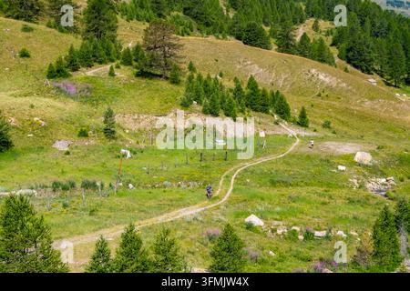 France, Hautes Alpes, montagne à Vars Les Claux Banque D'Images