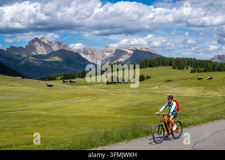 Italie, Trentin-Haut-Adige, Sud-Tyrol, Province de Bolzano, Val Gardena dans les Dolomites inscrite au patrimoine mondial de l'UNESCO, Castelrotto (Kastelruth), cycliste à l'Alpe di Siusi (Seiser Alm) plus haut alpage d'Europe, au fond, le groupe Odle (Gruppo delle Odle ou Geislergruppe) dominé par le mont Seceda à gauche Banque D'Images