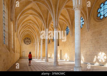France, Aisne, Soissons, abbaye Saint-Jean-des-Vignes fondée en 1076, réfectoire du XIIIe siècle Banque D'Images