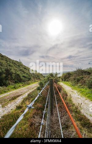 Vue le long d'un chemin de gravier bordé par une clôture en fil de fer avec du fil barbelé. La landes et la végétation bordent le chemin, menant à un paysage rural lointain. Banque D'Images