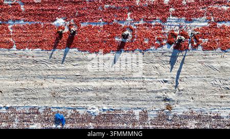 Vue aérienne d'ouvriers séchant des tomates sur de grandes bâches blanches dans un champ à Eregli, Konya, Turkiye. Banque D'Images