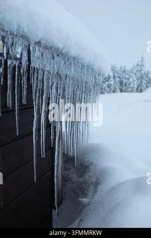 De longues glaçoles pendent du bord du toit enneigé d'une cabane en bois à côté de profondes congères à Levi, en Laponie finlandaise, Finlande Banque D'Images