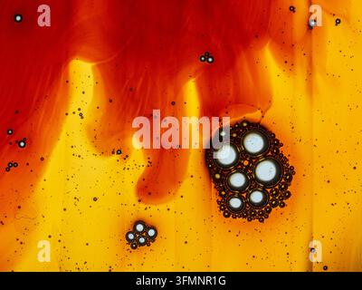 Mélange liquide abstrait mettant en valeur des mouvements de liquide rouge et orange avec des bulles d'huile de différentes tailles, créant une texture organique vibrante Banque D'Images