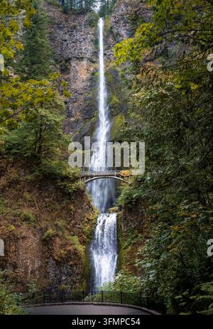 Les chutes Multnomah coulent devant le pont de pied Benson au-dessus des falaises de basalte dans la zone panoramique nationale de la gorge du fleuve Columbia, Oregon. Banque D'Images