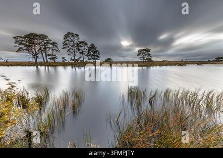 Coucher de soleil venté et nuageux sur la bruyère dans une lande sous un ciel nuageux. Scène de paysage avec coucher de soleil sur un étang dans le parc national de Dwingelderveld sous un ciel menaçant. Banque D'Images