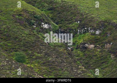Une petite cascade naturelle dévalant une gorge rocheuse entourée de bruyère et d'herbe verte sur l'île de Hoy, en Écosse. Banque D'Images