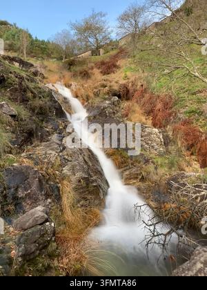 Une petite cascade à O Rosal, Galice, Espagne, dévale un terrain rocheux entouré d'une végétation luxuriante et d'herbe sèche. La zone est parsemée de sans feuilles Banque D'Images
