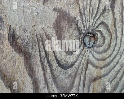 Ancienne surface en bois usée avec des motifs de veinures naturels et un nœud rond. Banque D'Images