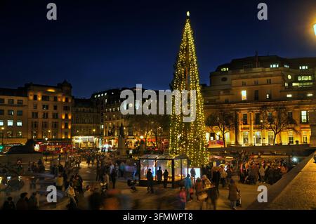 Le célèbre sapin de Noël de Trafalgar Square illuminé au crépuscule ou la nuit, centre de Londres, Angleterre, Royaume-Uni. Festivités de Noël dans le West End de Londres. Banque D'Images