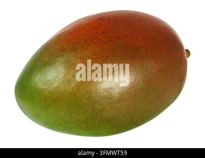 Fruit de mangue entier isolé sur fond blanc Banque D'Images