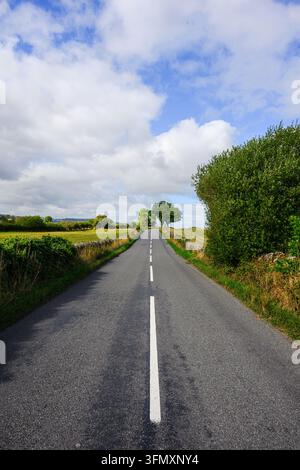 Route de campagne à deux voies en asphalte dans le Shropshire, en Angleterre, en été Banque D'Images