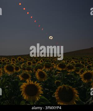 Éclipse totale de soleil de 2026 Banque D'Images