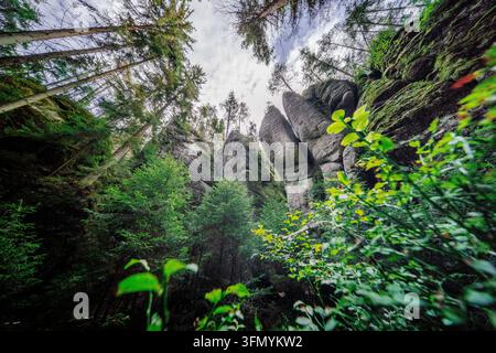 Prise de vue en contre-plongée sur des rochers de grès imposants entourés de pins à Adrspach. Banque D'Images