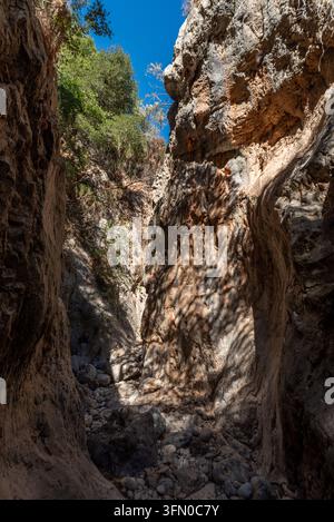 Vue en contre-plongée des imposantes parois rocheuses verticales créant un étroit couloir naturel dans le ravin de Kritsa à Crète Banque D'Images