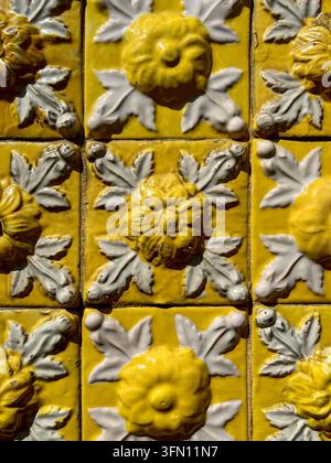 Carreaux azulejo jaunes et blancs en relief avec un motif floral en relief et une vernis brillant usé sur un mur au Portugal Banque D'Images