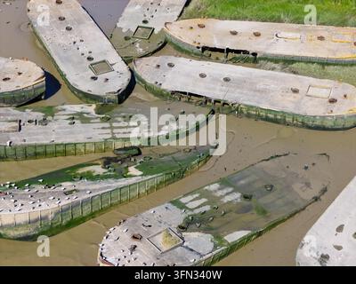 Groupe de péniches en béton érodées reposant dans les eaux troubles de marée de la Tamise à Purfleet tandis que les mouettes se rassemblent sur les ponts plats pendant un su Banque D'Images